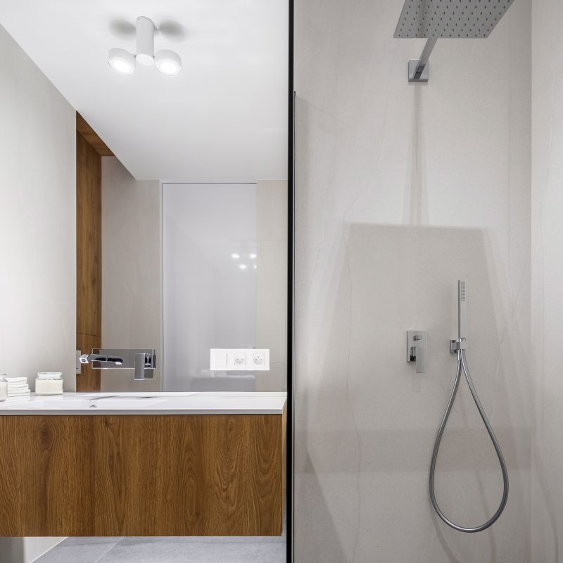 Contemporary Shower Spaces